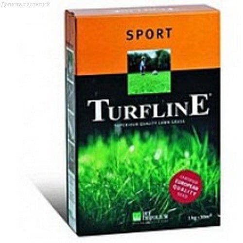 Газонная трава Спорт DLF-Trifoum Газонная трава Спорт DLF-Trifoum фото