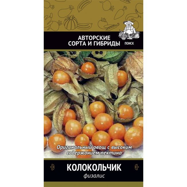 Физалис колокольчик Физалис колокольчик фото