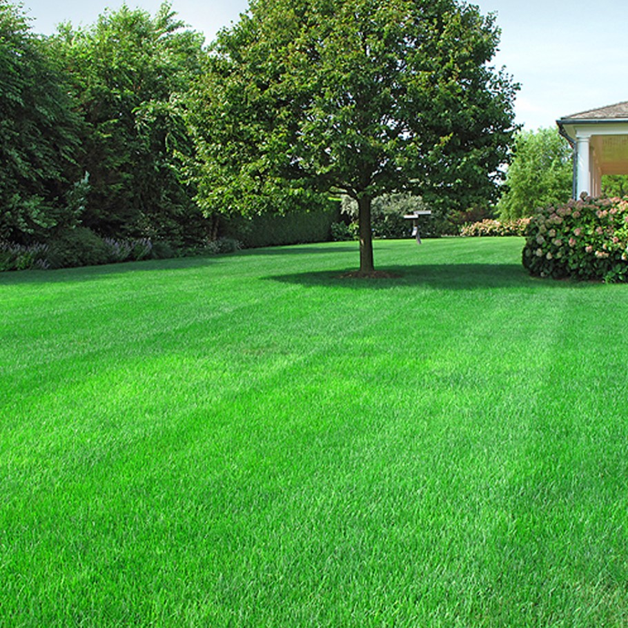 Газонная трава Изумрудная поляна универсальный газон, 1 кг Газонная трава Изумрудная поляна универсальный газон, 1 кг - Dolina-Sad.Ru