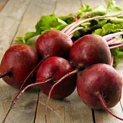 Свекла Бона Свекла Бона фото