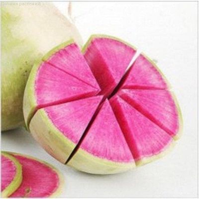 Редька Китайская Ред Минт Редька Китайская Ред Минт фото