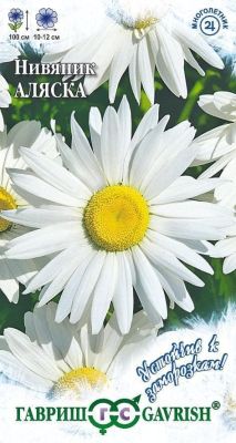 Нивяник Аляска Нивяник Аляска фото