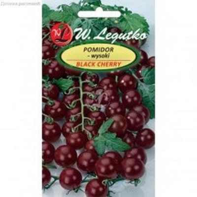 Томат Черри черный (Польша) Томат Черри черный (Польша) фото