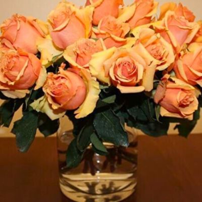 Роза Азафран Роза Азафран - Dolina-Sad.Ru