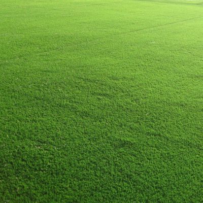 Газонная трава Спортивная площадка спортивный газон, 500 гр - Dolina-Sad.Ru