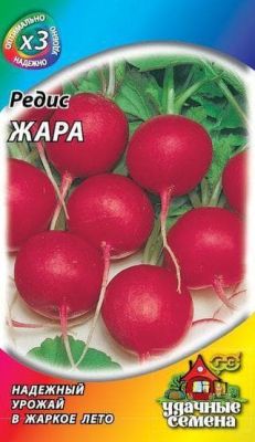 Редис Жара Редис Жара фото
