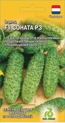 Огурец Соната РЗ F1 (Голландия) Н19 Огурец Соната РЗ F1 (Голландия) Н19 фото