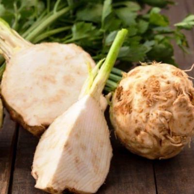 Сельдерей корневой Яблочный Сельдерей корневой Яблочный фото