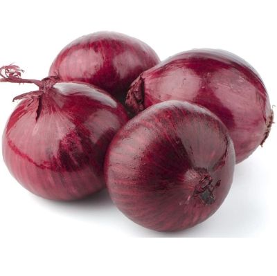 ЛУК БАГРОВЫЙ МЯЧ ЛУК БАГРОВЫЙ МЯЧ - Dolina-Sad.Ru