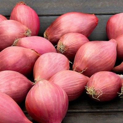Лук-севок Розанна (10-21мм) фото