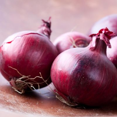 Лук Репчатый Озорник фото