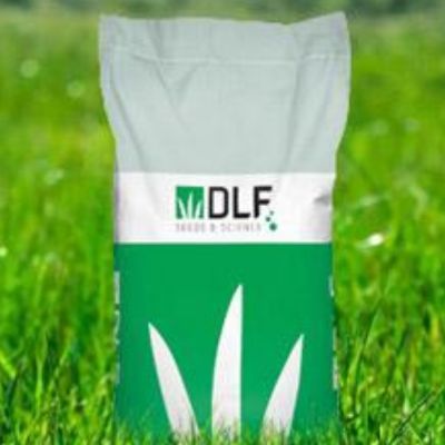 Газонная травосмесь DLF Trifoum (Roustica) Газонная травосмесь DLF Trifoum (Roustica) фото