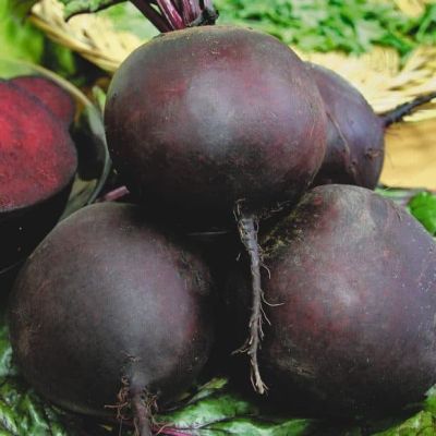 Свекла Смуглянка фото