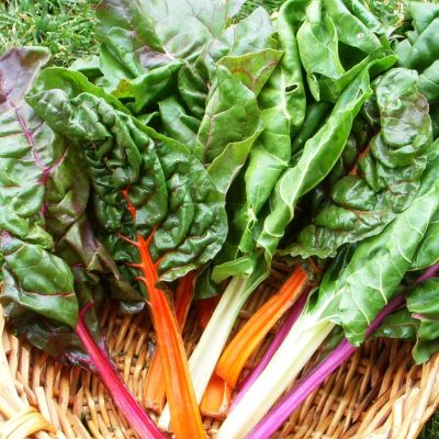 Мангольд Радуга Смесь Мангольд Радуга Смесь фото